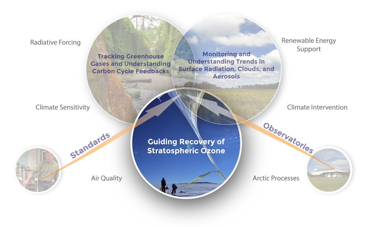 research themes diagram