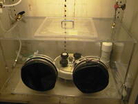 thmbnail image for AUT_2470.JPG