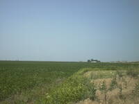thmbnail image for AUT_1206.JPG