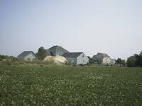 thmbnail image for AUT_1207.JPG