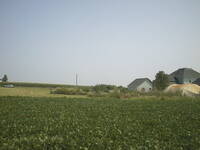 thmbnail image for AUT_1208.JPG
