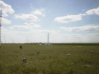 thmbnail image for outside_1096.JPG