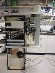 thmbnail image for img_1433.jpg