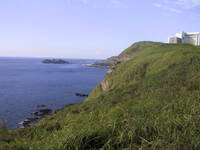 thmbnail image for img_0058.jpg
