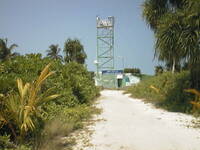 thmbnail image for aut_0406.jpg