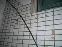 thmbnail image for imgp0195.jpg