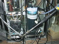 thmbnail image for aut_2969.jpg