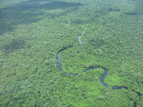 Image for Dry conditions in Amazonia reduce uptake of carbon dioxide 