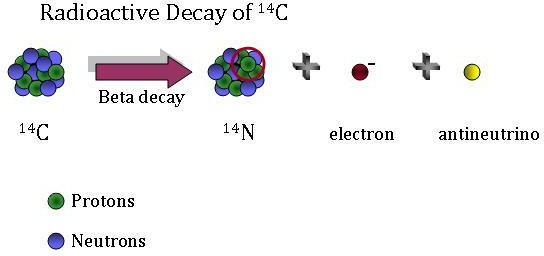 Beta Decay