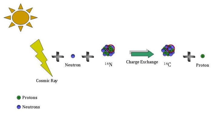 Cosmic Ray C14 Production