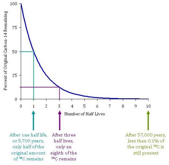 Half Life Graph