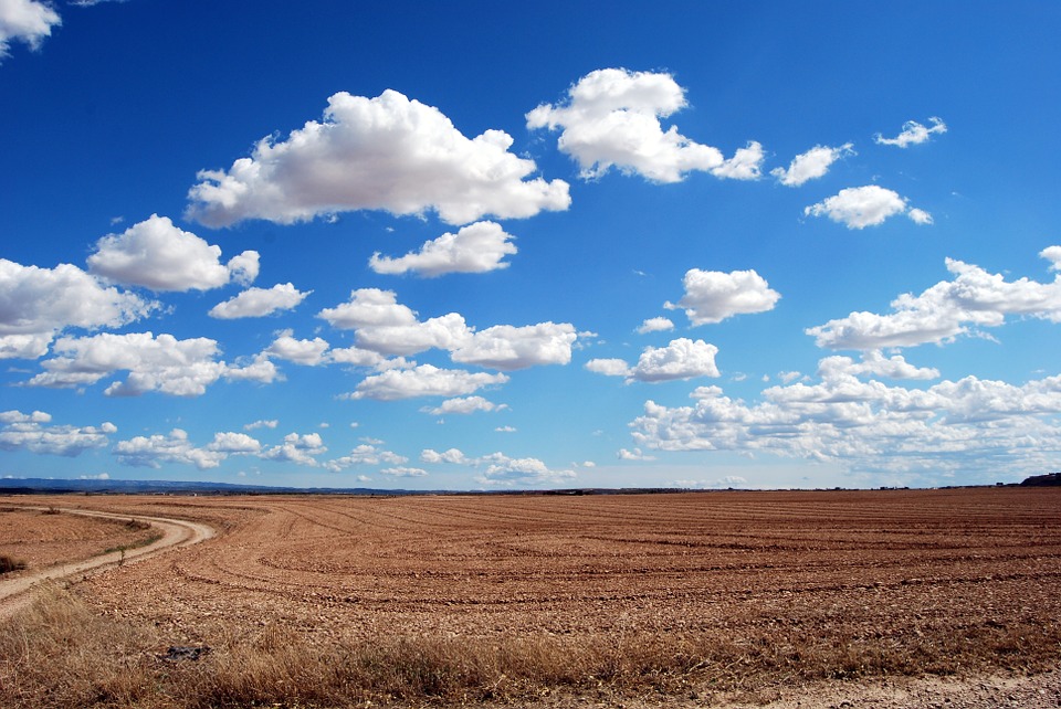 cumulus clouds