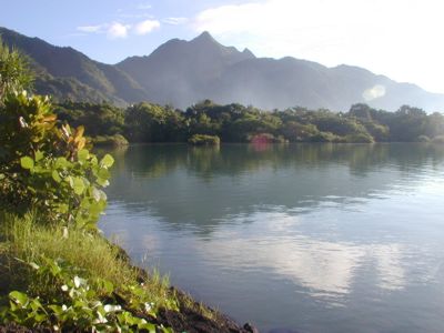 Lyons Park