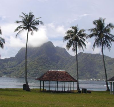 Utulei park