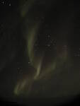 Antarctica_Pics_191.jpg
