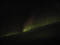 Antarctica_Pics_203.jpg