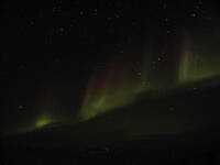 Antarctica_Pics_206.jpg