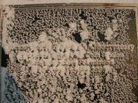 Antarctica_Pics_85.jpg