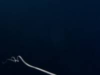 thmbnail image for 328.jpg